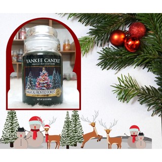 Nến Thơm Yankee Candle Cao Cấp | Nhiều Mùi Hiếm - Autumn glow, Gardenia,Pine, Balsam, Angel - Decor Phòng & Quà Tặng