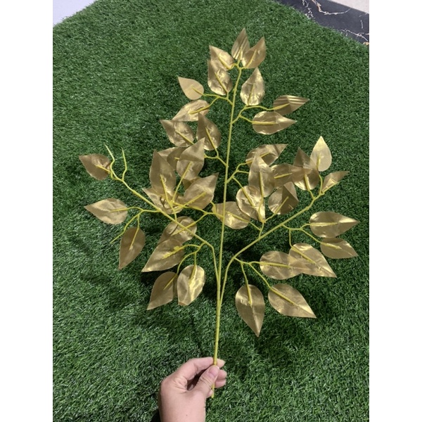 Lá cây si vàng giả