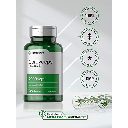 Viên uống đông trùng hạ thảo Horbaach Cordyceps CS-4 Strain 2000mg 200 viên