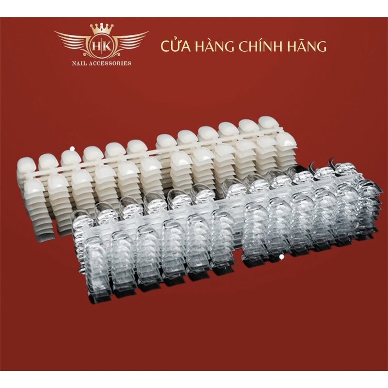 Vỉ móng xương cá chân tập vẽ sơn móng HK NAIL ACCESSORIES