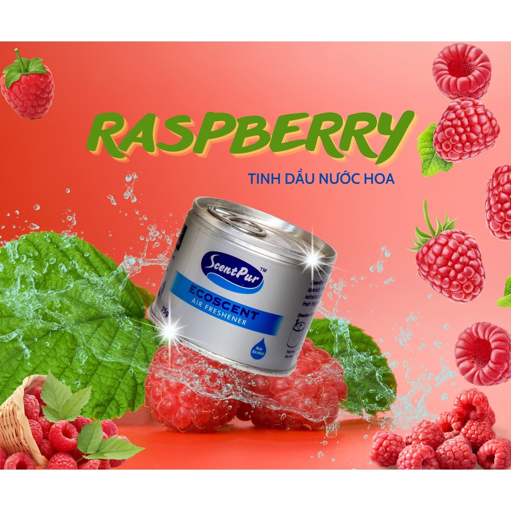 Tinh dầu thơm phòng cao cấp ScentPur 75g Với 10 hương thơm