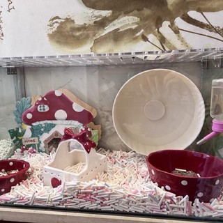 [ORDER] Wheel chạy NRQ 26cm cho hamster