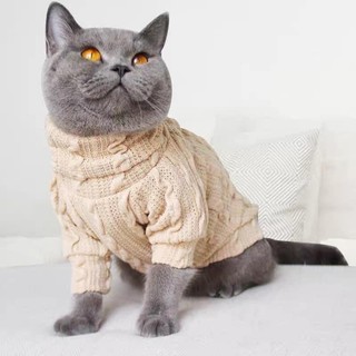Áo len cổ lọ siêu ấm cho chó mèo