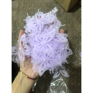 Bộ b ướm đính ngọc