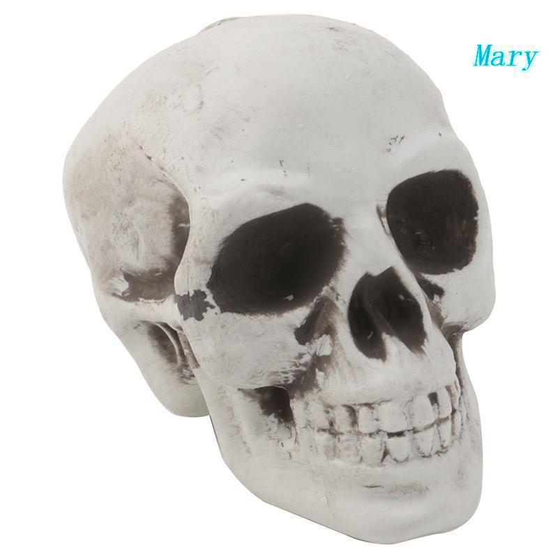 Mô Hình Đầu Lâu Người Mini Bằng Nhựa Dùng Trang Trí Quán Cà Phê / Bar / Halloween