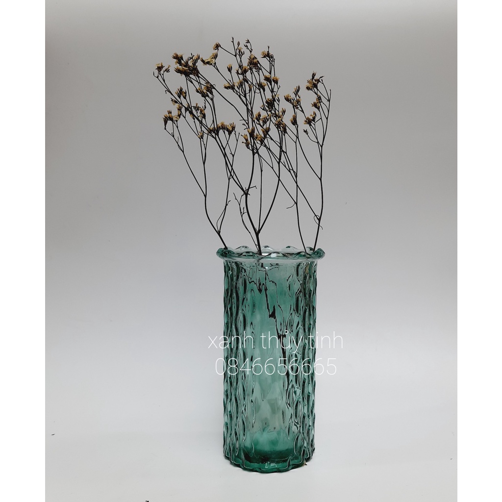 Lọ hoa thủy tinh trang trí, decor, bình hoa miệng bèo cao 19cm