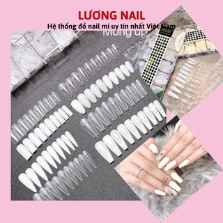 Móng úp HSM nhám sẵn chính hãng đủ 4 form hộp 500 móng