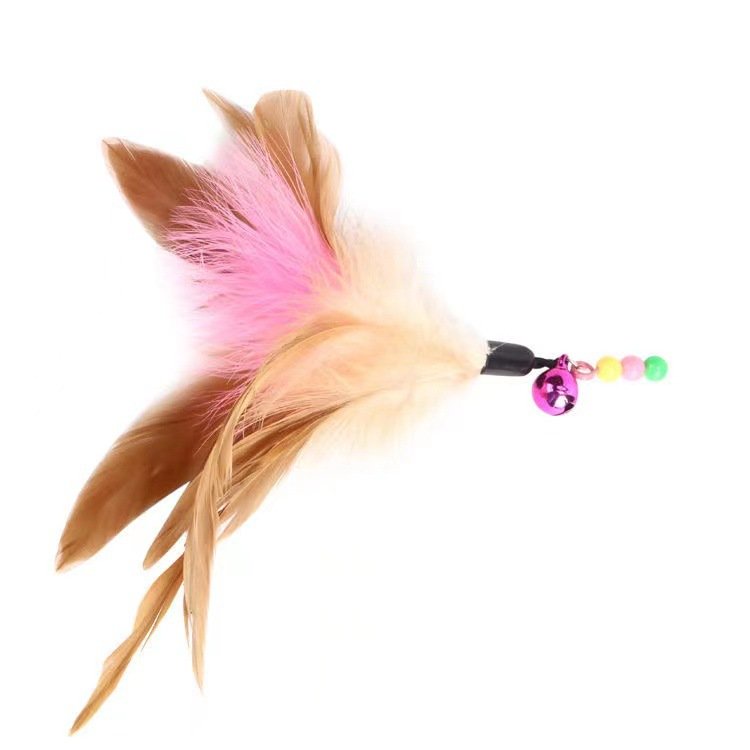 LÔNG GÀ/LÔNG VŨ THAY CẦN CÂU CHO MÈO