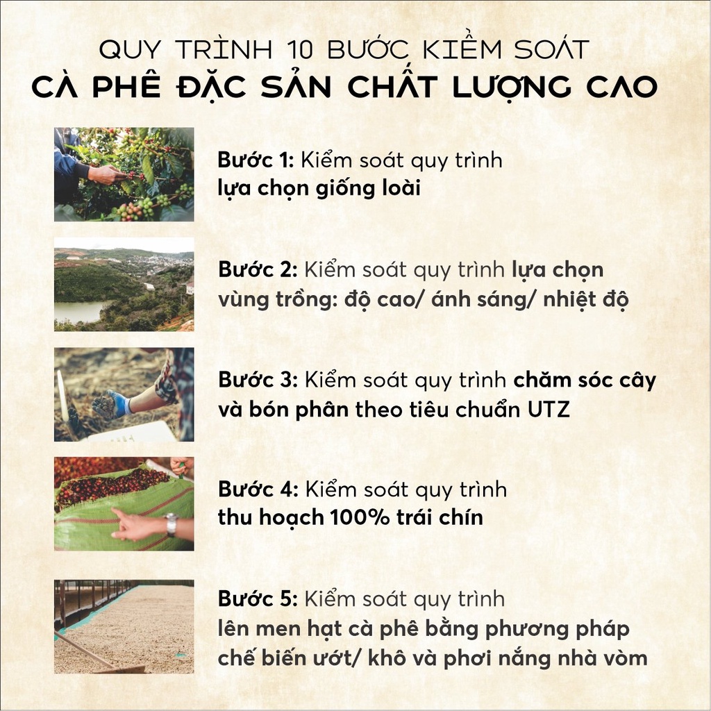 Cà phê phin giấy C3 From Cau Dat Coffee
