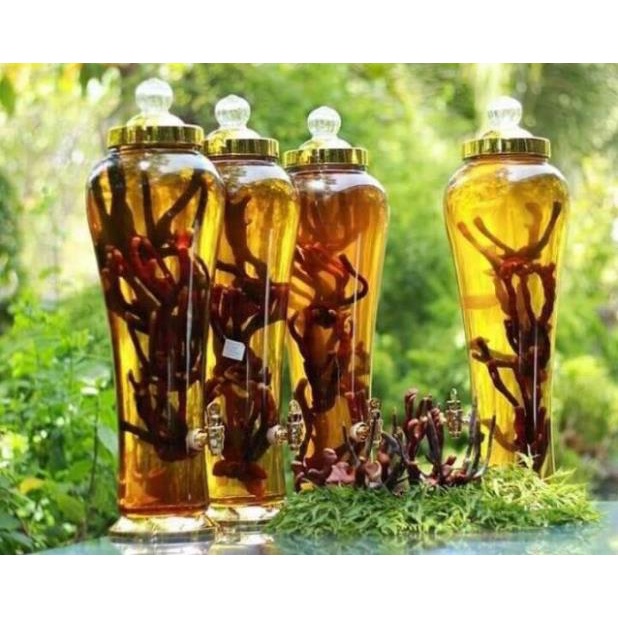 200g Nấm Sừng Hươu Tây Bắc Chuẩn Rừng