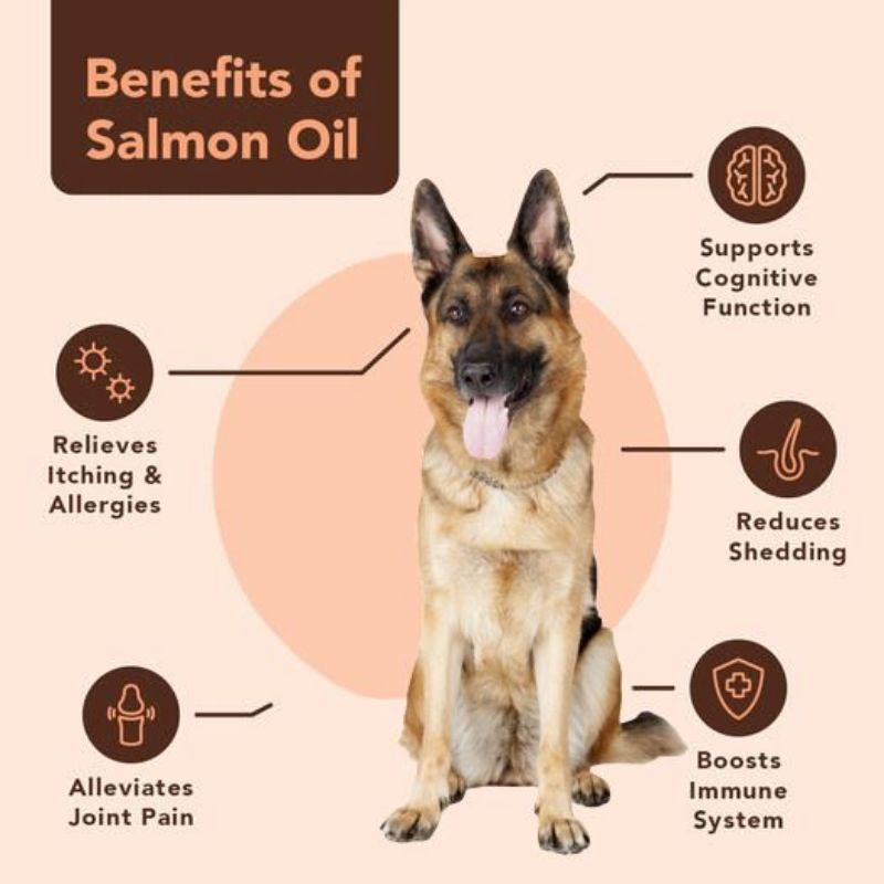 Dầu cá hồi nguyên chất cho chó mèo Zesty Paw nhập khẩu Mỹ