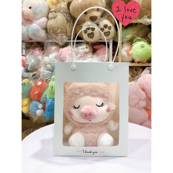 Túi giấy kiếng kích thước  cm