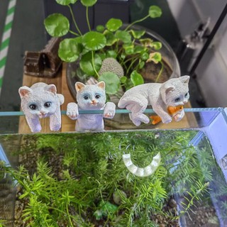 CHÚ MÈO TRANG TRÍ BỂ CÁ CẢNH