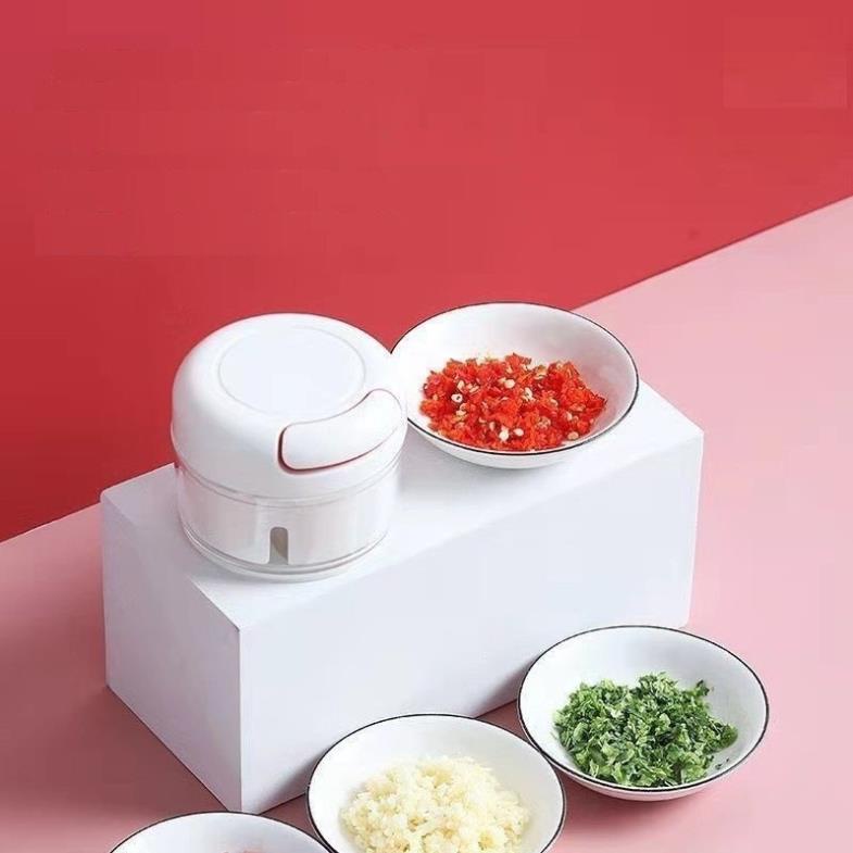 Máy xay tỏi ớt cầm tay mini đa năng Food Chopper