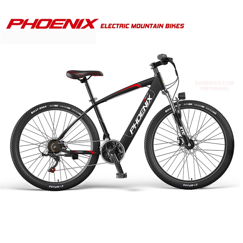 XE ĐẠP THỂ THAO TRỢ LỰC ĐIỆN PHOENIX 589 MOUNTAIN (R26)