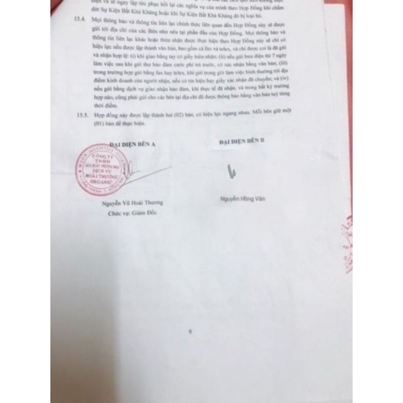 Combo 2 nấm giảm cân sbody tặng đai nịt bụng