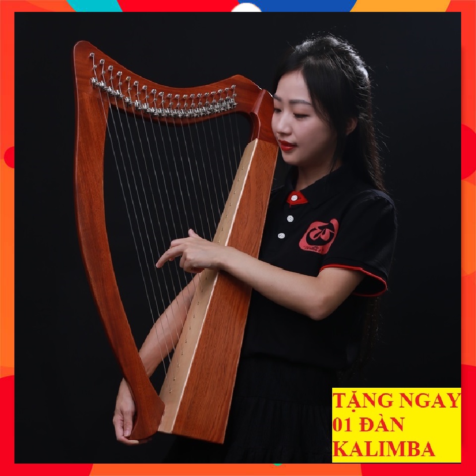 (CỰC ĐẸP VÀ CHẤT LƯỢNG) ĐÀN HARP (ĐÀN HẠC) CHÍNH HÃNG WALTER CAO CẤP 19 DÂY CÓ BỘ KHÓA CHỈNH THĂNG GIÁNG GIÁ CỰC ƯU ĐÃI