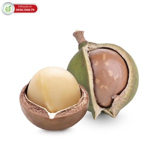 Hạt macca Daklak sấy nứt size đại | Hàng ngon