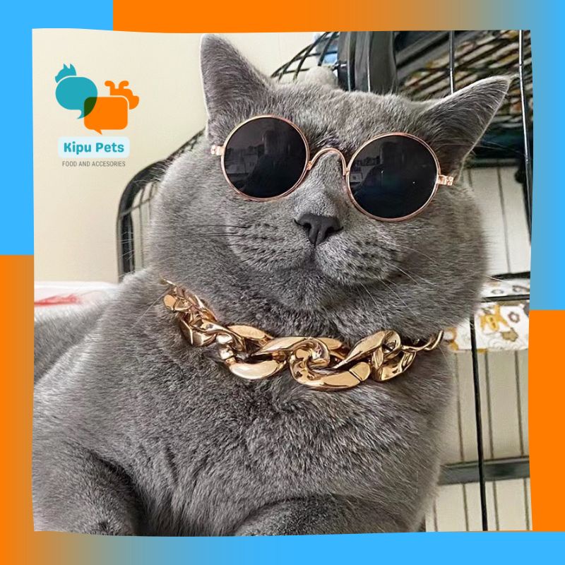 Dây Chuyền Cho Thú Cưng - Vòng Cổ Mạ Vàng Cho Chó Mèo - Kipu Pets