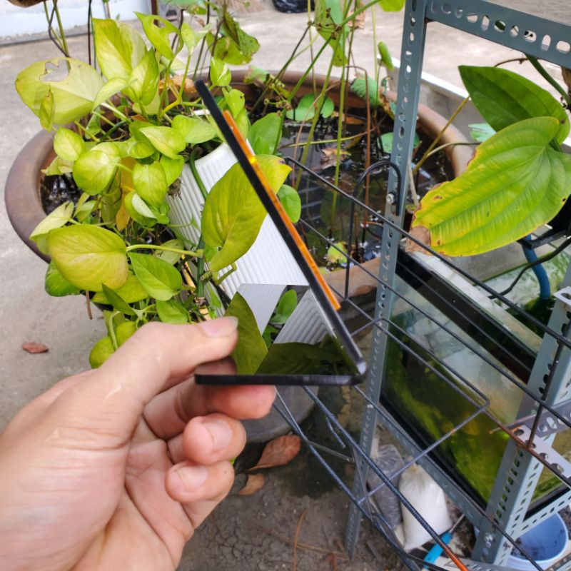 Bảng quầy thu ngân, quầy thanh toán sang trọng