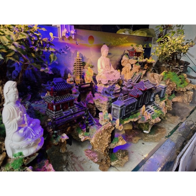 Hồ cá tiểu cảnh bán cạn phong cách Phật giáo by Aqua Mặt Trời Vàng