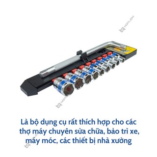Bộ đầu tuýp Cần L 10 món LS+