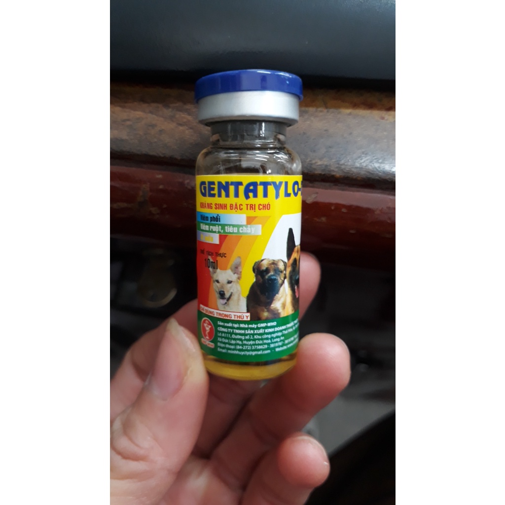 Gentatylo-D 10ml xóa ho, nôn mửa, tiêu chảy ở chó