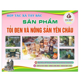 5kg Tỏi Cô Đơn Đã Bóc Vỏ