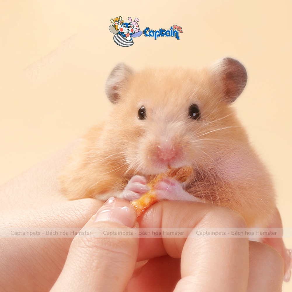 Tép sấy khô loại ngon không vụn cho Hamster