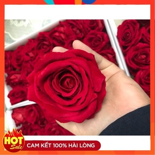 Sỉ đầu bông hồng lụa phủ nhung cao cấp