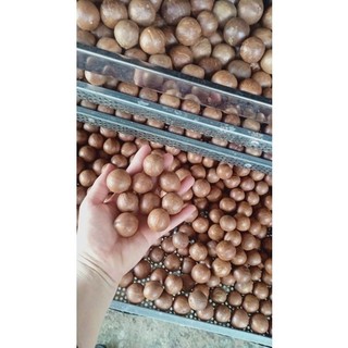 Hạt macca sấy nứt vỏ loại 1 - lon 500gr
