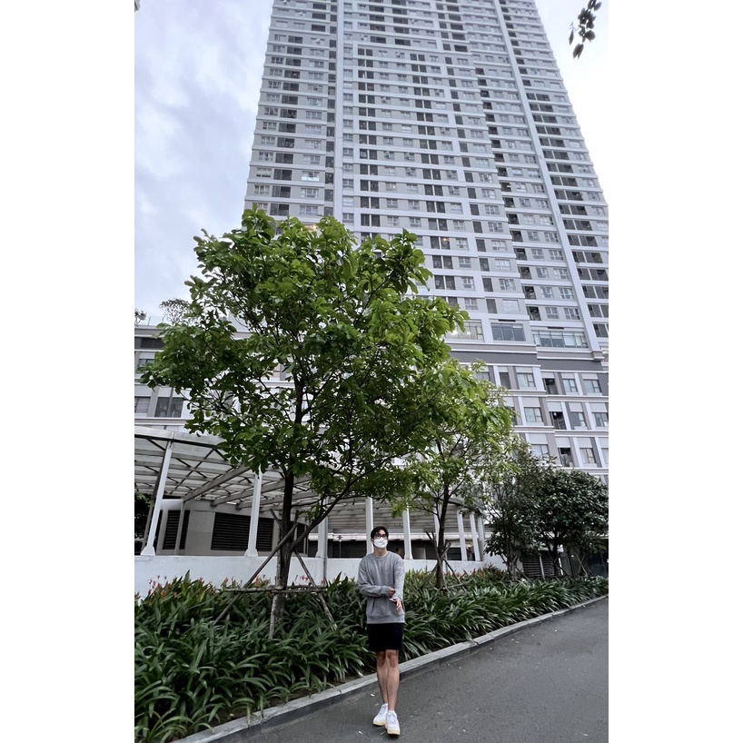 Áo nỉ GL hiệu Nga Basic Sweater_màu xám khói