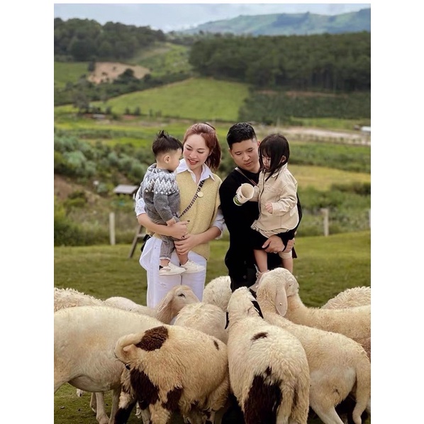 Áo gile len vàng Zara xuất