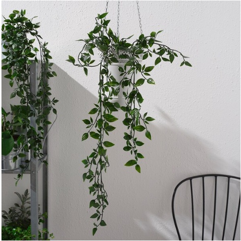 Chậu cây giả FEJKA IKEA chính hãng