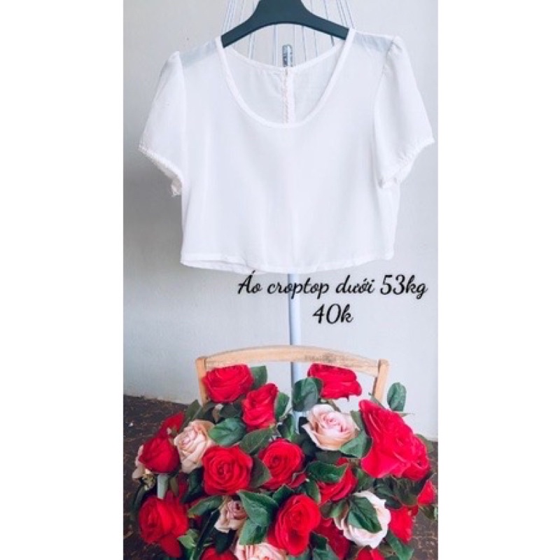 Áo vin dáng croptop