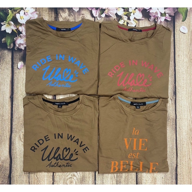 HÀNG XUẤT XỊN - ÁO THUN COTTON MÀU NÂU XUẤT KHẨU