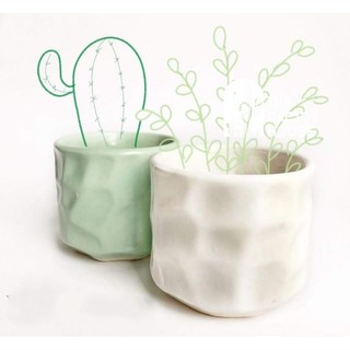 Chậu trồng sen đá, xương rồng, cẩm nhung - Chậu mắt na