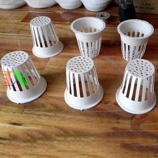 Rọ trồng rau thủy canh (6,5x6,5cm)