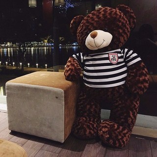 Gấu bông teddy khổ 1m6 đến 2m gấu bông gấu teddy size lớn siêu rẻ bullystore td01
