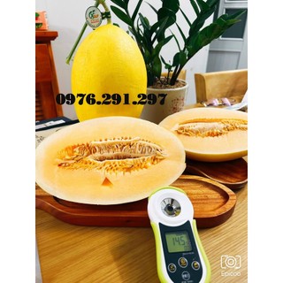 Máy đo độ ngọt điện tử scm1000 bảo hành 12 tháng - hmdigital mỹ
