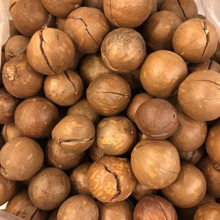 Macca Đắk Lắk