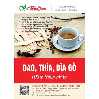 Set 100 cái Dĩa Gỗ Ngắn 95mm