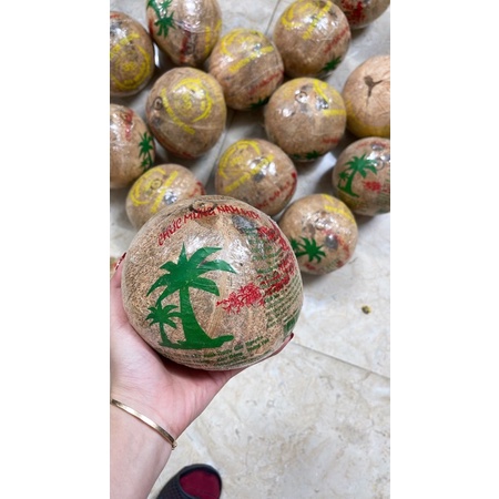 Quả Bình dừa siêu to nặng 1,4 kg -1 quả