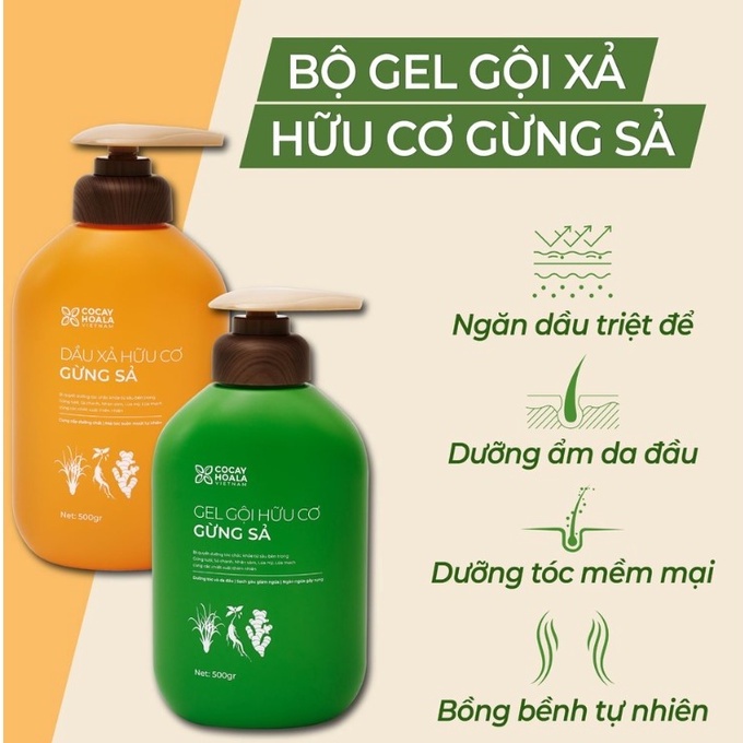 Dầu gội xả hữu cơ gừng sả Cỏ Cây Hoa Lá - Ngăn dầu bết tóc, giảm gàu, giảm ngứa (Chai 500g)