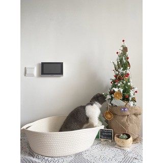 Ổ nằm cho mèo ship hoả tốc đồ decor