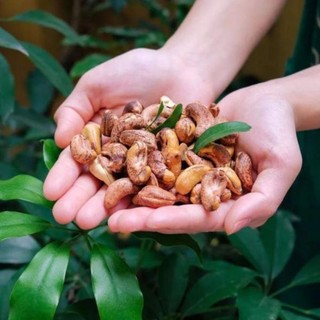 Hạt Điều Rang Muối Nguyên Lụa 500gr
