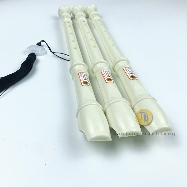 Sáo recorder [Tặng khóa học cấp tốc ] 8 lỗ, 6 lỗ màu trắng cho học sinh cấp 1 - Thanh Tùng TB05