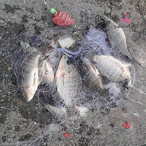 Lưới Đánh Cá Chuyên Chất Lượng