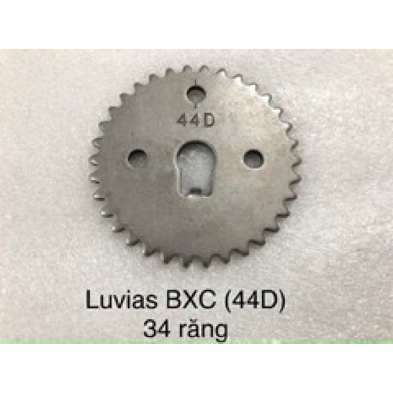 Nhông cam  các dòng xe