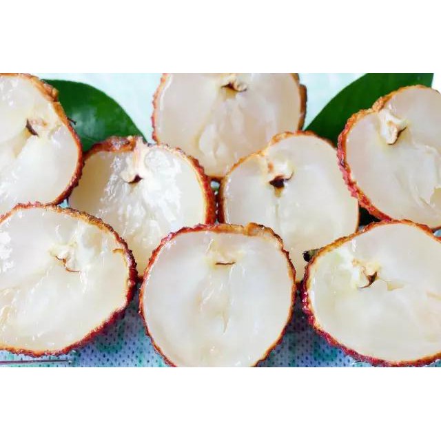 CÂY GIỐNG VẢI KHÔNG HẠT ( CÂY TO BẦU LỚN SIÊU TỐT))